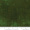 grunge_basics_forest_30150_366