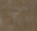 screenshot_2025-03-14_190450