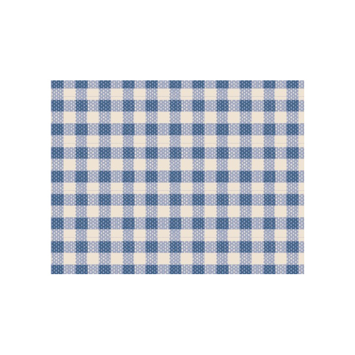 160073_gingham_blue