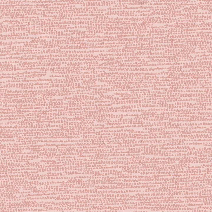 dashwood_1800_rose