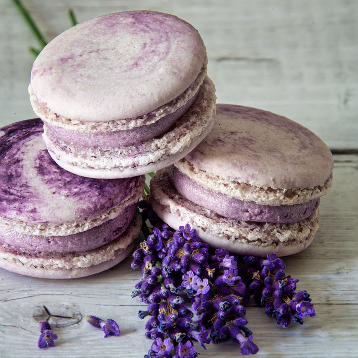 macrons_lav_1