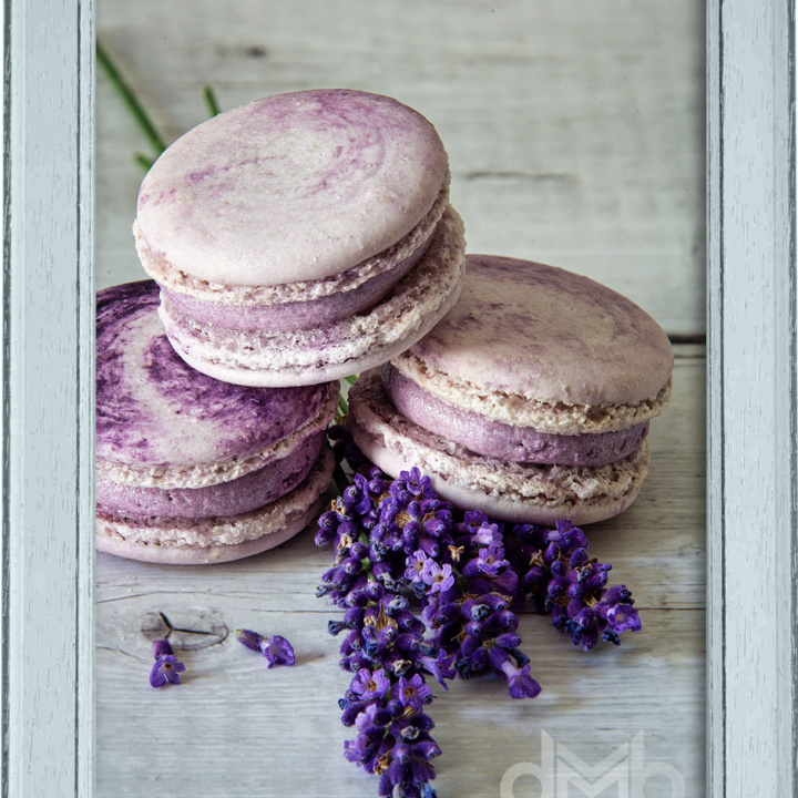 macrons_lav_2