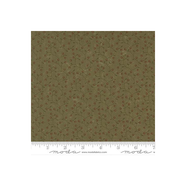 pine_9796-15