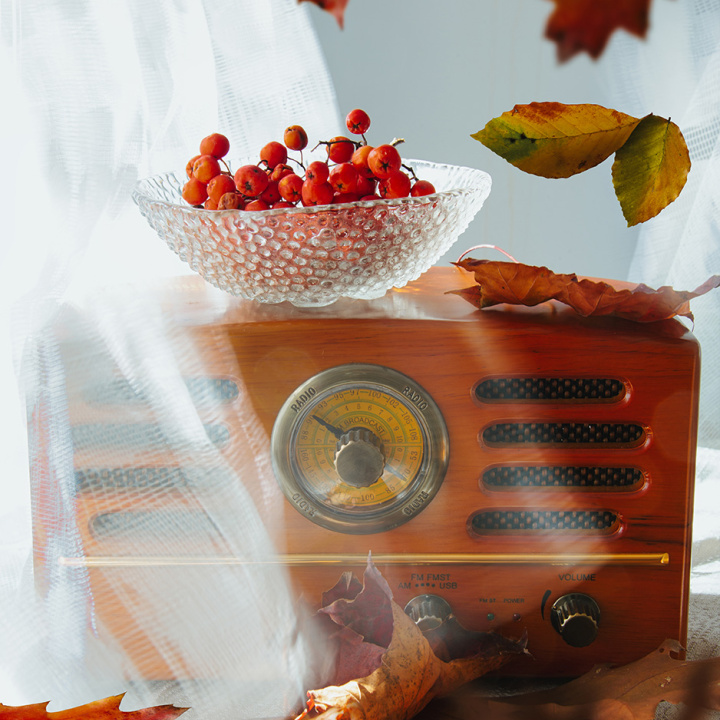 radio_fall_1